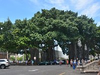 2017062345 Iolani Palace - Honolulu - Hawall - Jun 08