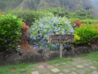 2017062745 Jungle Tour on the Kualoa Ranch - Oahu - Hawaii - Jun 10