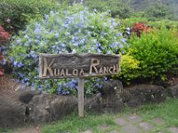 2017062746 Jungle Tour on the Kualoa Ranch - Oahu - Hawaii - Jun 10