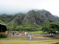 2017062747 Jungle Tour on the Kualoa Ranch - Oahu - Hawaii - Jun 10