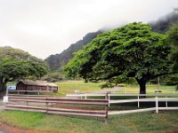 2017062749 Jungle Tour on the Kualoa Ranch - Oahu - Hawaii - Jun 10