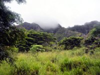 2017062761 Jungle Tour on the Kualoa Ranch - Oahu - Hawaii - Jun 10