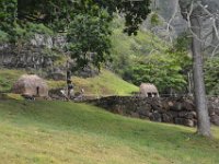 2017062763 Jungle Tour on the Kualoa Ranch - Oahu - Hawaii - Jun 10