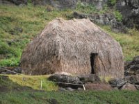 2017062765 Jungle Tour on the Kualoa Ranch - Oahu - Hawaii - Jun 10