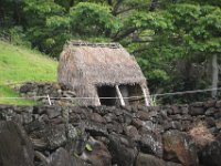 2017062766 Jungle Tour on the Kualoa Ranch - Oahu - Hawaii - Jun 10