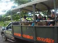 2017062768 Jungle Tour on the Kualoa Ranch - Oahu - Hawaii - Jun 10