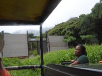 2017062777 Jungle Tour on the Kualoa Ranch - Oahu - Hawaii - Jun 10