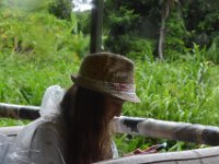 2017062781 Jungle Tour on the Kualoa Ranch - Oahu - Hawaii - Jun 10