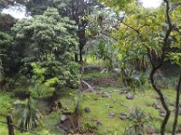 2017062786 Jungle Tour on the Kualoa Ranch - Oahu - Hawaii - Jun 10