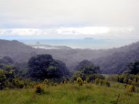 2017062790 Jungle Tour on the Kualoa Ranch - Oahu - Hawaii - Jun 10 - Copy