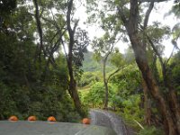 2017062804 Jungle Tour on the Kualoa Ranch - Oahu - Hawaii - Jun 10