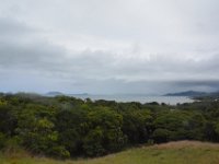 2017062805 Jungle Tour on the Kualoa Ranch - Oahu - Hawaii - Jun 10