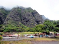 2017062816 Jungle Tour on the Kualoa Ranch - Oahu - Hawaii - Jun 10