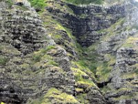 2017062817 Jungle Tour on the Kualoa Ranch - Oahu - Hawaii - Jun 10 - Copy