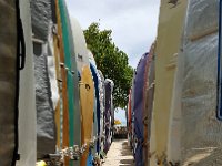 2017062050 Kalekaua Avenue along Waikiki Beach - Honolulu - Hawaii - Jun 06