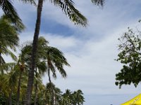 2017062062 Kalekaua Avenue along Waikiki Beach - Honolulu - Hawaii - Jun 06