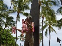 2017062072 Kalekaua Avenue along Waikiki Beach - Honolulu - Hawaii - Jun 06