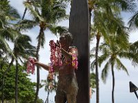 2017062073 Kalekaua Avenue along Waikiki Beach - Honolulu - Hawaii - Jun 06