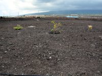 2017063337 Kaloko-Honokohau National Historical Park - Kona - Big Island - Hawaii - Jun 13