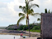 2017063376 Kaloko-Honokohau National Historical Park - Kona - Big Island - Hawaii - Jun 13