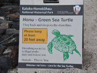 2017063391 Kaloko-Honokohau National Historical Park - Kona - Big Island - Hawaii - Jun 13