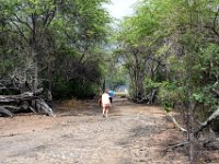 2017063399 Kaloko-Honokohau National Historical Park - Kona - Big Island - Hawaii - Jun 13