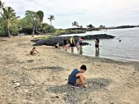 2017063406 Kaloko-Honokohau National Historical Park - Kona - Big Island - Hawaii - Jun 13