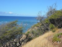 2017062491 Oahu Hidden Gems Tour - Jun 09