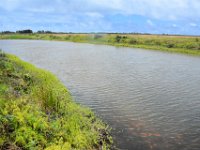 2017062571 Oahu Hidden Gems Tour - Jun 09