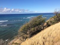 2017062595 Oahu Hidden Gems Tour - Jun 09