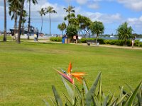 2017061163 Pearl Harbor - Honolulu - Hawaii - June 04