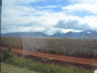 2017062687 Dole Pineapple Plantation Souvenir Shop - Oahu - Hawaii - Jun 09