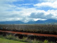 2017062689 Dole Pineapple Plantation Souvenir Shop - Oahu - Hawaii - Jun 09