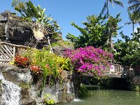 2017061531 Polynesian Cultural Center - Oahu - Hawaii - Jun 05
