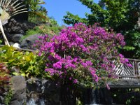 2017061636 Polynesian Cultural Center - Oahu - Hawaii - Jun 05