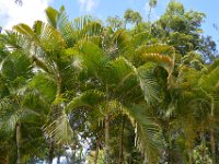 2017061639 Polynesian Cultural Center - Oahu - Hawaii - Jun 05