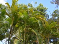 2017061640 Polynesian Cultural Center - Oahu - Hawaii - Jun 05