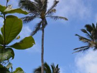 2017061641 Polynesian Cultural Center - Oahu - Hawaii - Jun 05