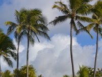 2017061676 Polynesian Cultural Center - Oahu - Hawaii - Jun 05