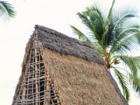 2017063503 Puuhonua o Honaunau National Historical Park - Kona - Big Island - Hawaii - Jun 14