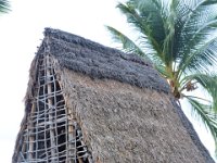 2017063504 Puuhonua o Honaunau National Historical Park - Kona - Big Island - Hawaii - Jun 14