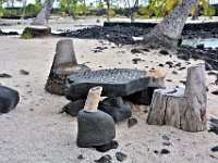 2017063507 Puuhonua o Honaunau National Historical Park - Kona - Big Island - Hawaii - Jun 14