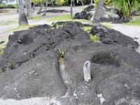 2017063512 Puuhonua o Honaunau National Historical Park - Kona - Big Island - Hawaii - Jun 14