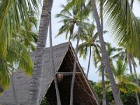 2017063517 Puuhonua o Honaunau National Historical Park - Kona - Big Island - Hawaii - Jun 14