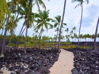 2017063536 Puuhonua o Honaunau National Historical Park - Kona - Big Island - Hawaii - Jun 14