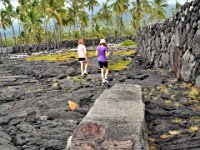 2017063543 Puuhonua o Honaunau National Historical Park - Kona - Big Island - Hawaii - Jun 14