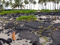 2017063558 Puuhonua o Honaunau National Historical Park - Kona - Big Island - Hawaii - Jun 14