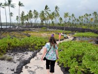 2017063559 Puuhonua o Honaunau National Historical Park - Kona - Big Island - Hawaii - Jun 14