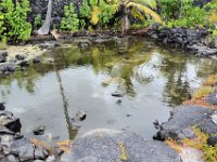 2017063562 Puuhonua o Honaunau National Historical Park - Kona - Big Island - Hawaii - Jun 14