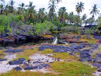 2017063563 Puuhonua o Honaunau National Historical Park - Kona - Big Island - Hawaii - Jun 14